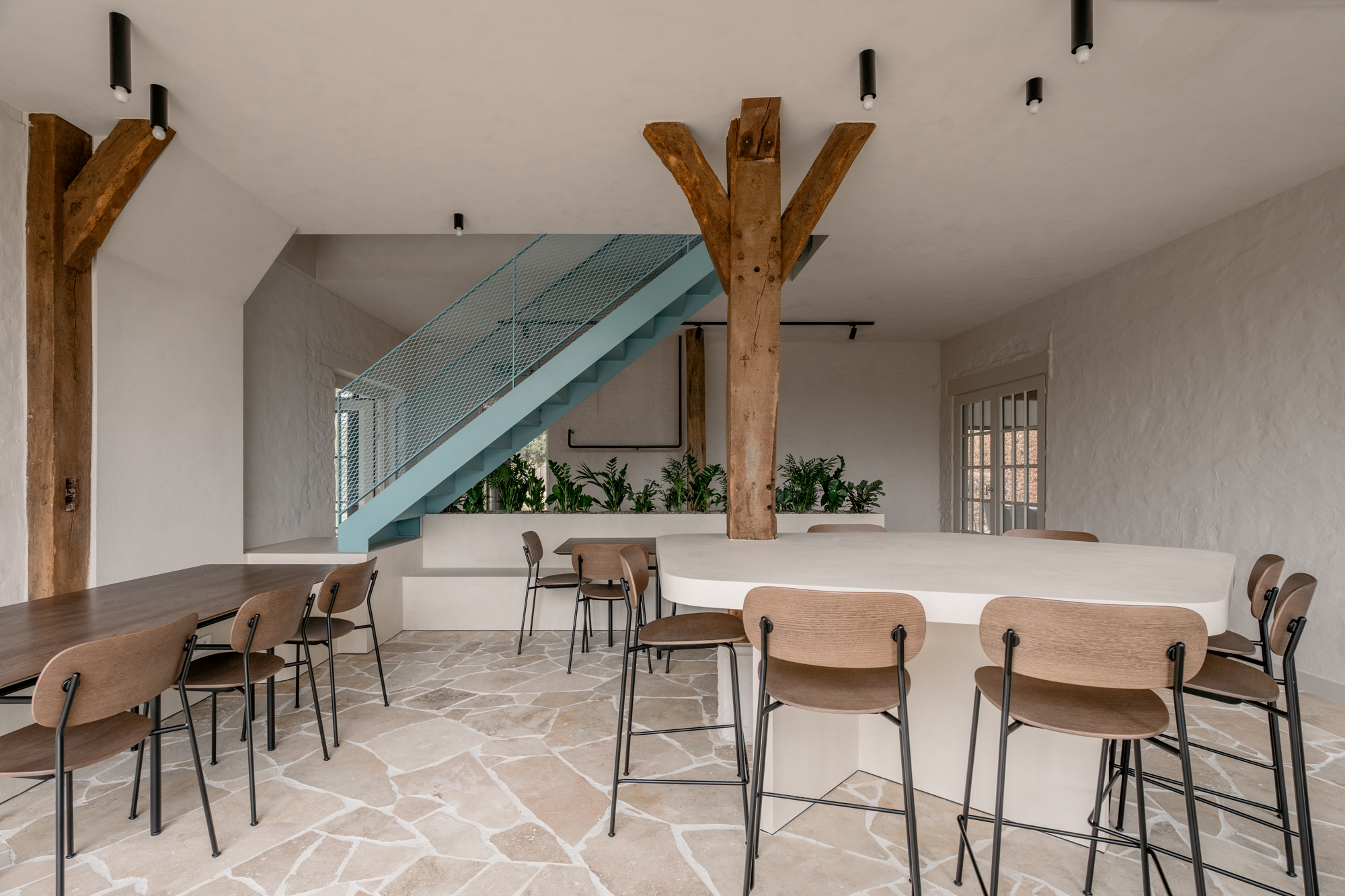 Travertine Classic STONE NV